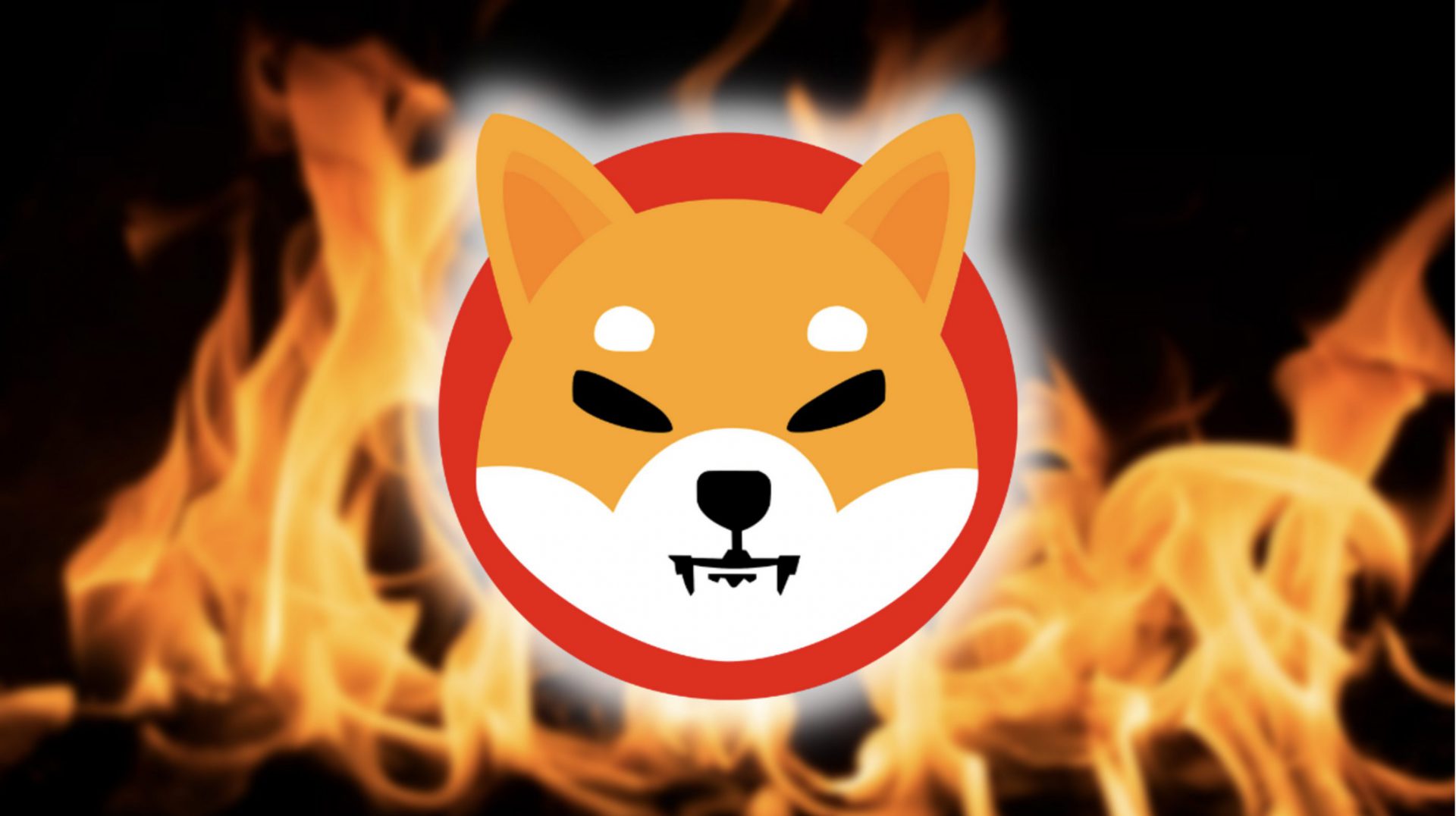 Shiba Inu Shibarium To Burn 5 Trillion SHIB Tokens Every Month