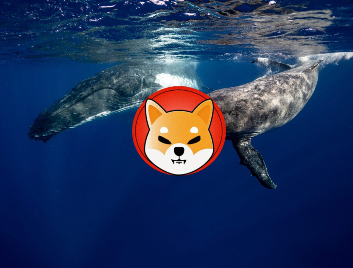 Shiba Inu Whale Buys Million Shib Amid Leash Utility Update