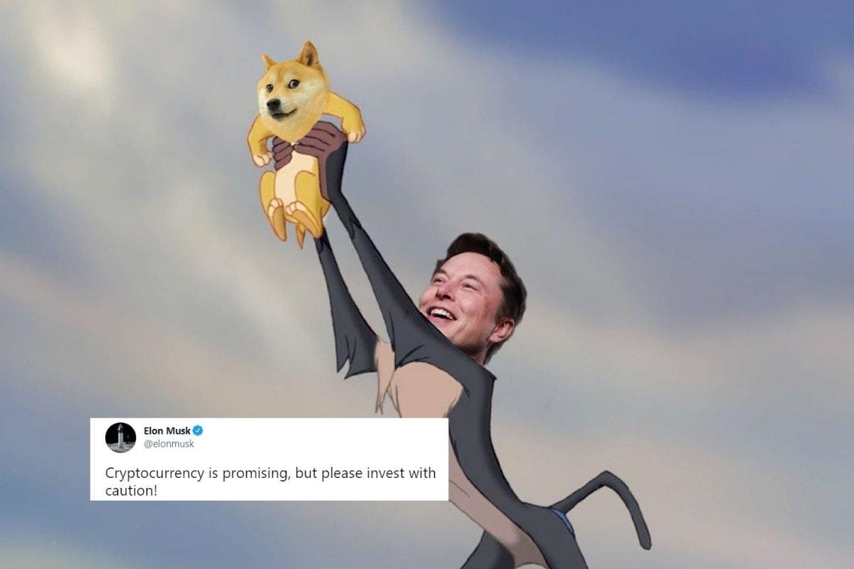 Does Elon Musk own Dogecoin?