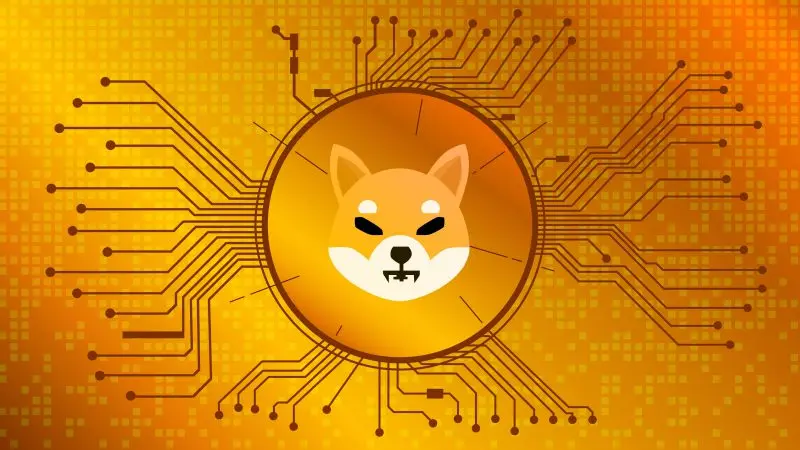 shib