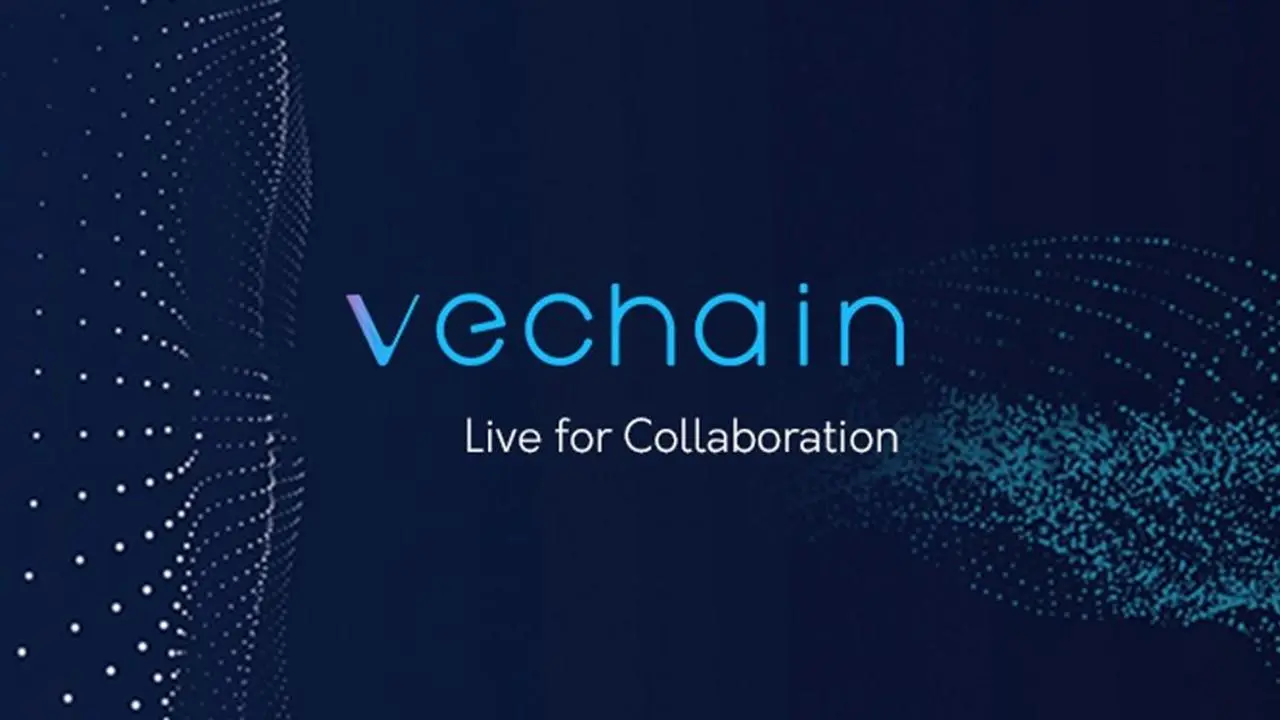 Vechain февраль 2024