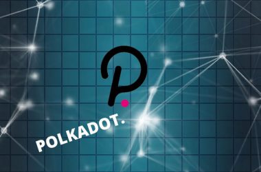 polkadot