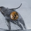 crypto whale bitcoin