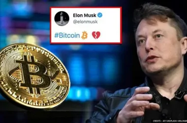 Elon Must Bitcoin