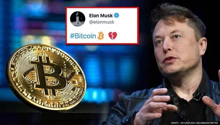 Elon Must Bitcoin