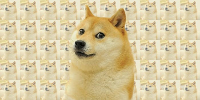 Doge Meme NFT