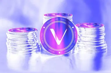 Vechain vet