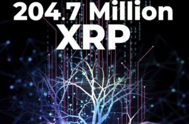 204.7 XRP
