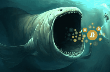 Bitcoin Whales