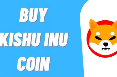 Kishu Inu coin buy