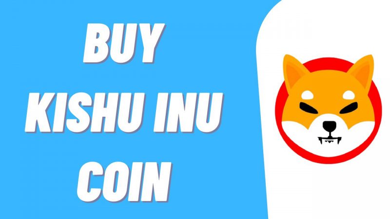 How to Buy Kishu Inu coin (KISHU) on MetaMask