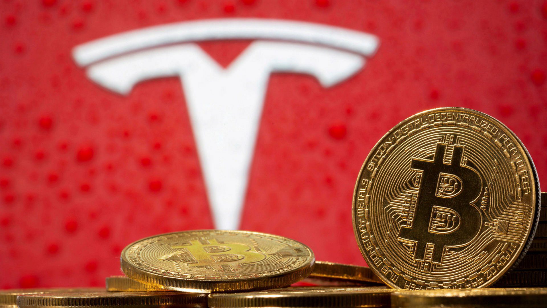 "Tesla's Bitcoin account just got bigger See how much they have now"