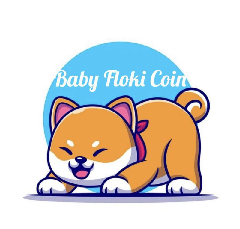 Baby Floki coin