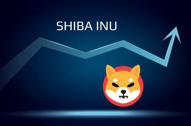 Shiba Inu Growth