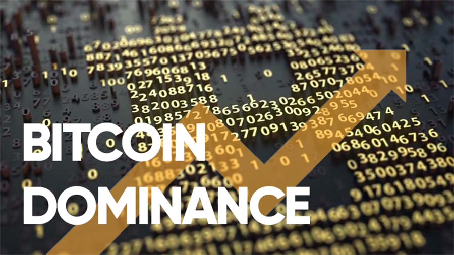 Bitcoin Dominance All You Need To Know About