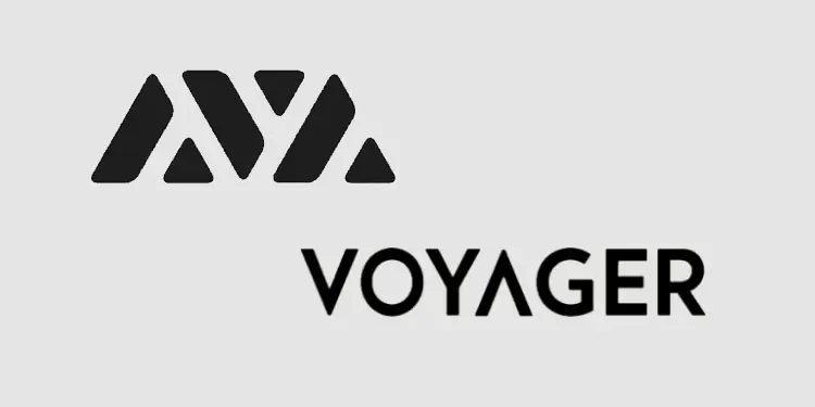 Voyager