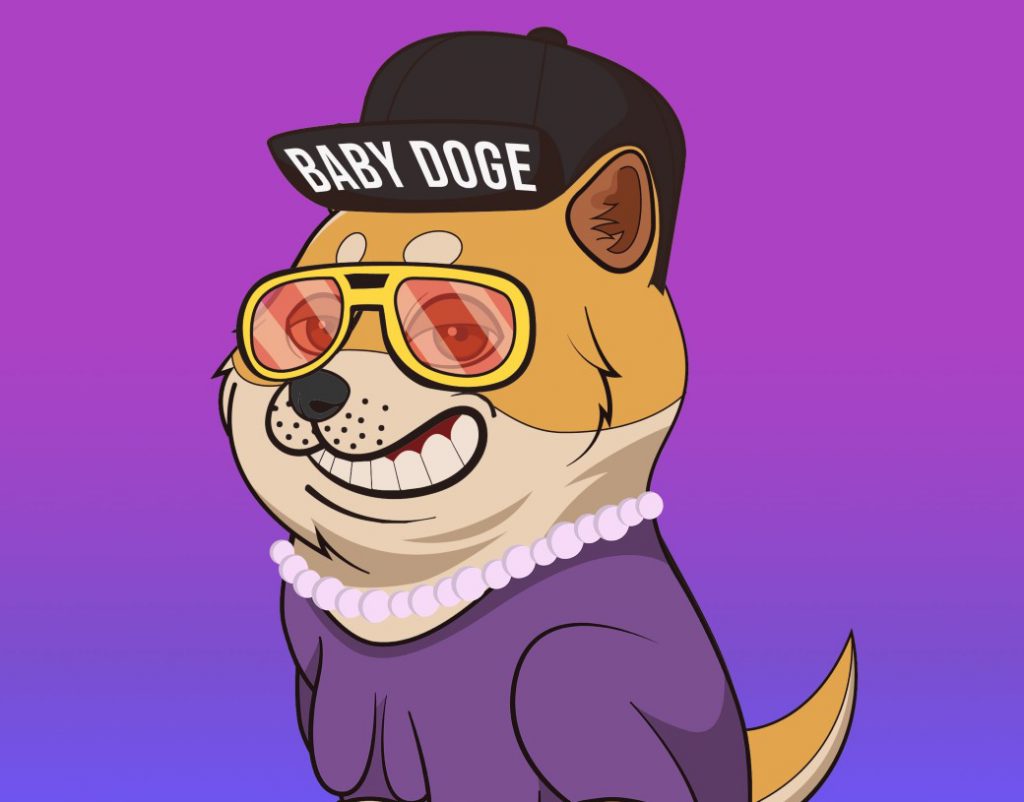 Baby Doge Coin NFT