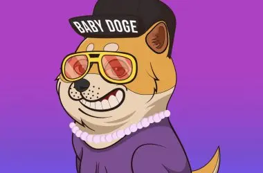 Baby Doge Coin NFT