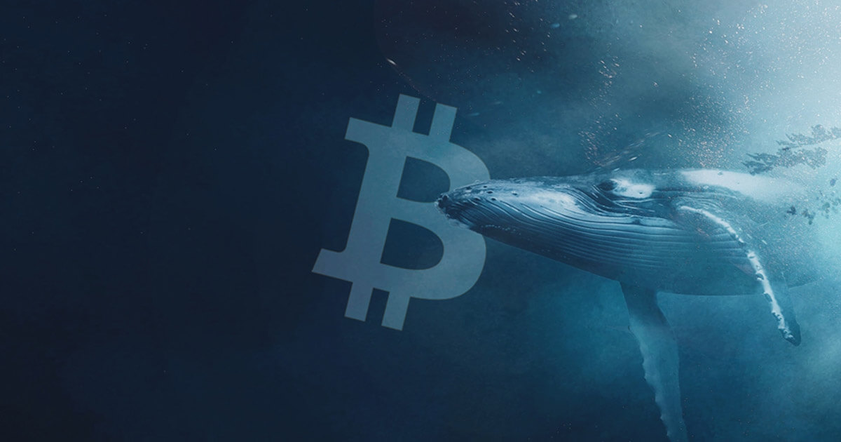 are whales buying or selling bitcoin