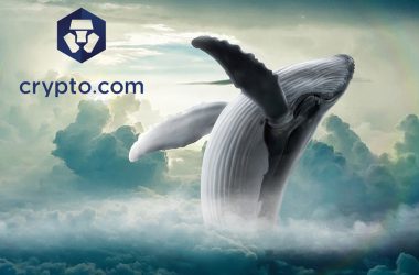 CRO Coin crypto.com whale watching
