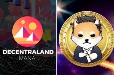 Decentraland (MANA) Vs Dogelon Mars (ELON)