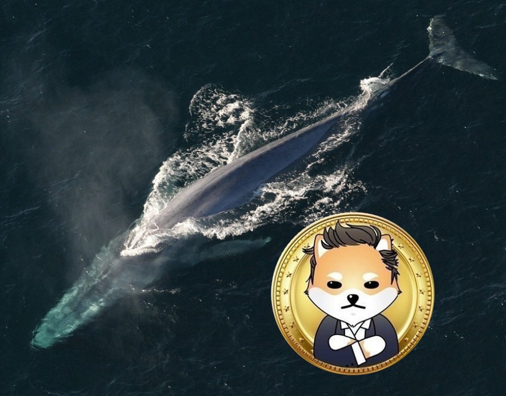 Dogelon Mars the Most Traded Altcoin Among the Top 1000 ETH