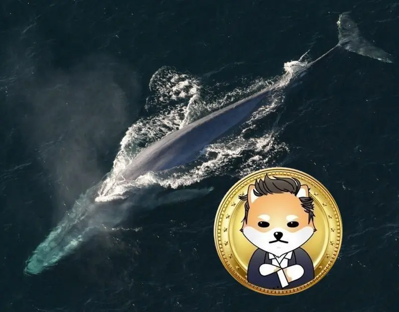 Dogelon Mars whale watch