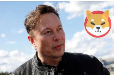 Elon Musk Shiba Inu Tesla