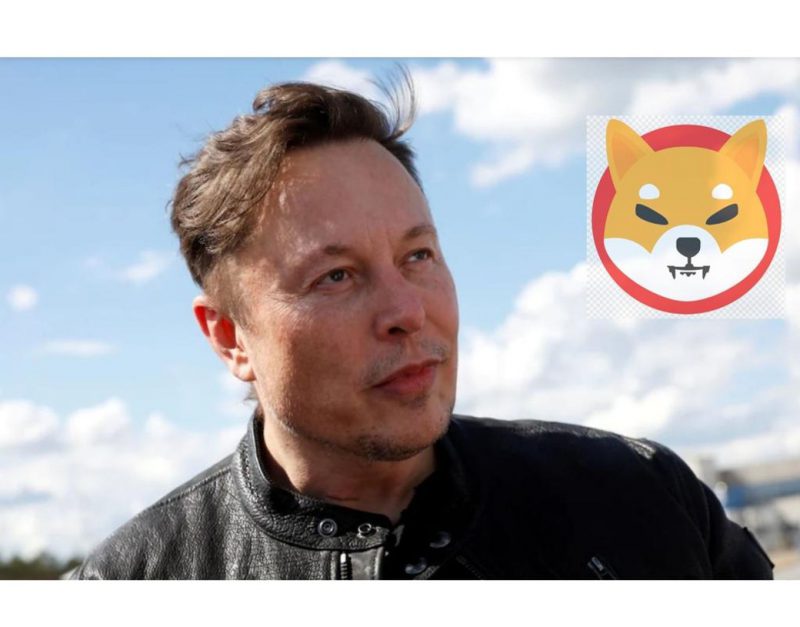 Elon Musk Shiba Inu Tesla