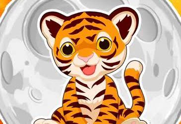 Baby Tiger King