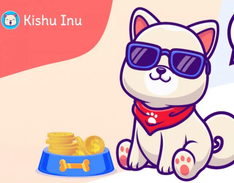 Kishu Inu up 467 Since the Last one Month How High Will the