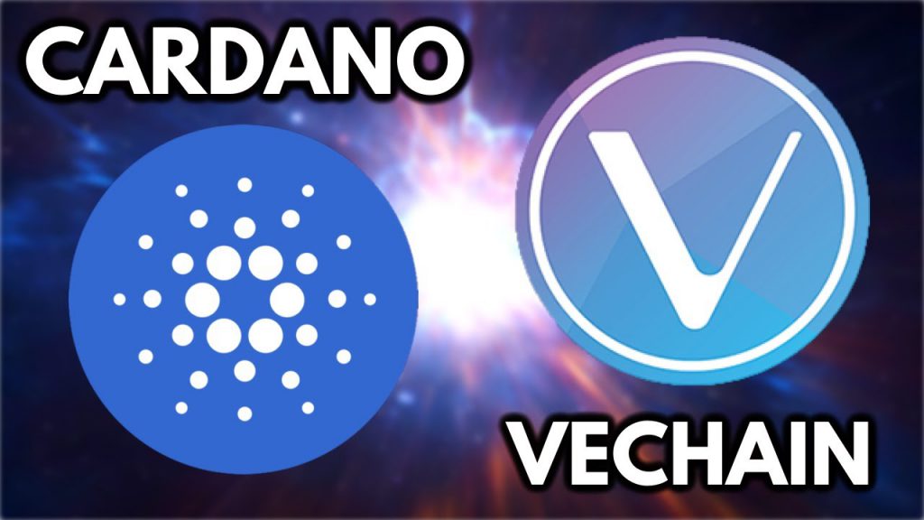 vechain and cardano