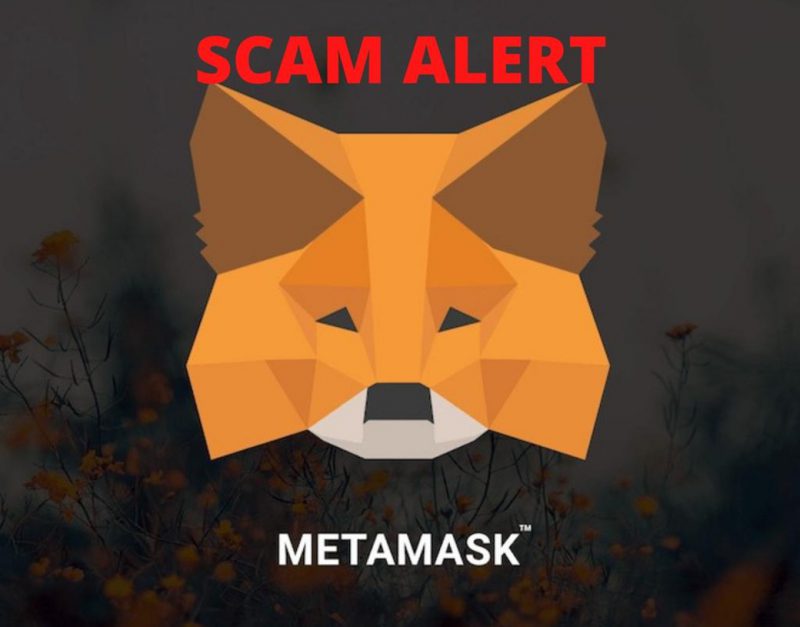 Meta Mask email phishing scam alert