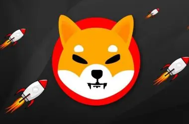 Shiba Inu