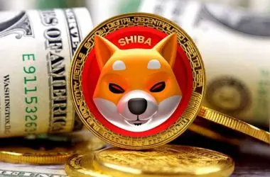 Shiba Inu Twitter