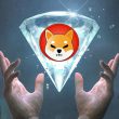 Shiba Inu
