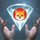 Shiba Inu