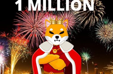 Shiba Inu reaches 1 million holders