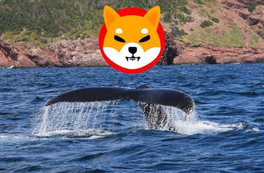 Shiba Inu whale