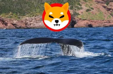 Shiba Inu whale