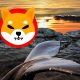 Shiba Inu Whale