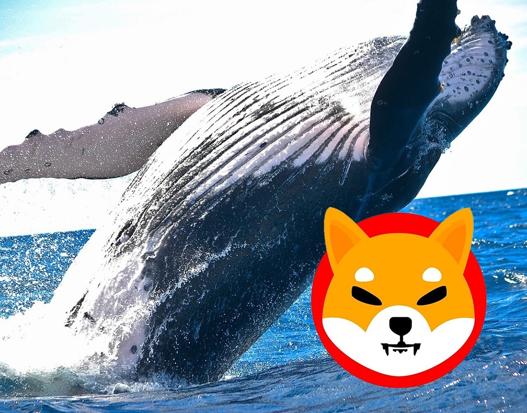 An Ethereum Whale Purchased 2 613 140 28 Worth Of Shiba Inu