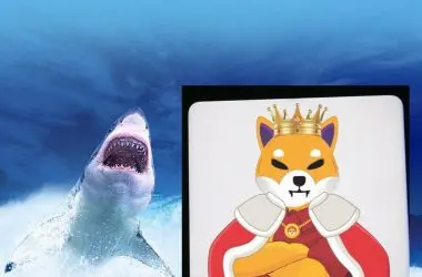 Shiba Inu Whales
