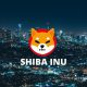 Shiba Inu Lights City