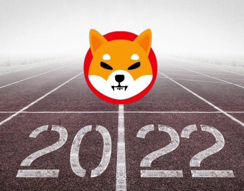 Shiba Inu 2022