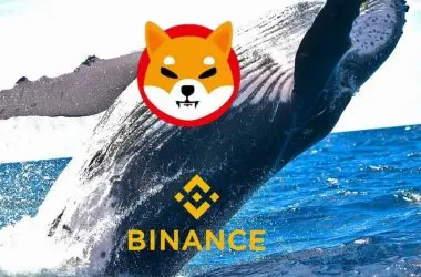 Binance whale buys Shiba Inu