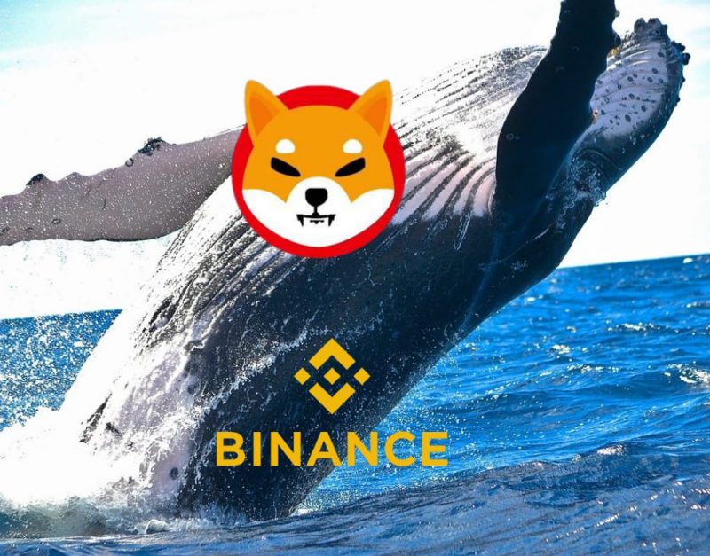 Binance whale buys Shiba Inu