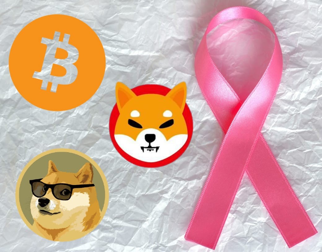 World's Largest Breast Cancer Charity Accepts Shiba Inu ...
