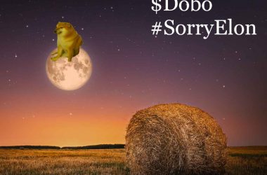 DogeBonk reaches space faster than Dogecoin