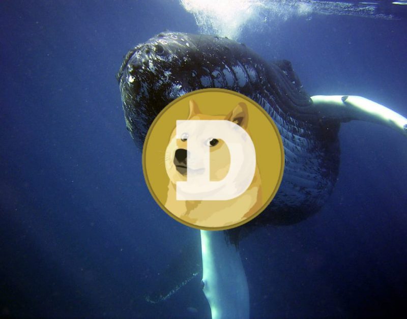 Dogecoin Whale